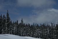 Parking_at_mtbachelor